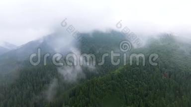 俯览深青松林近山中云和小村近.. 大自然的美丽